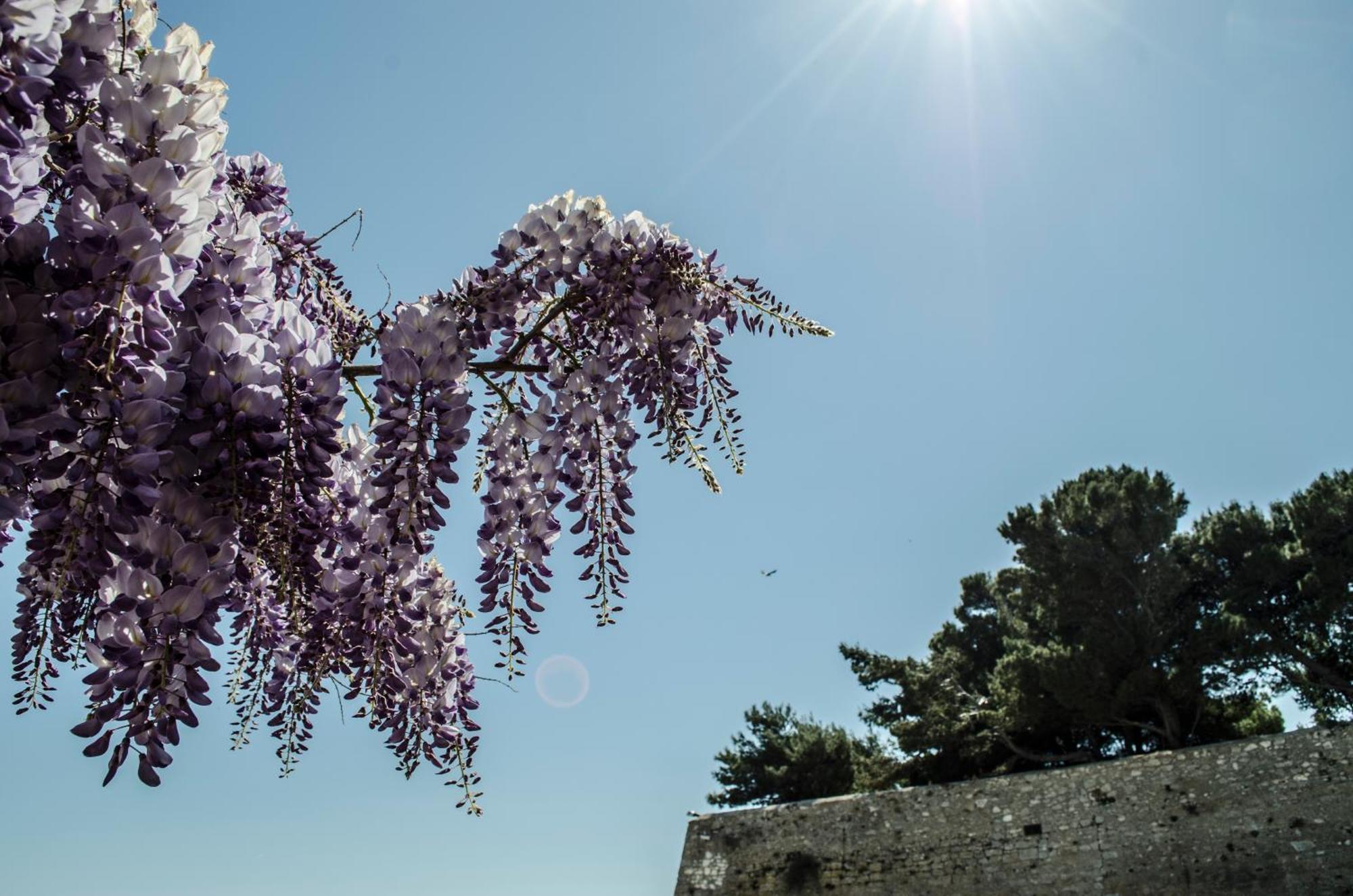 Torre La Mezzaluna Bed & Breakfast Vieste Luaran gambar